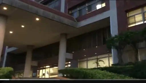 美麗夕陽、鳥嗚、美景